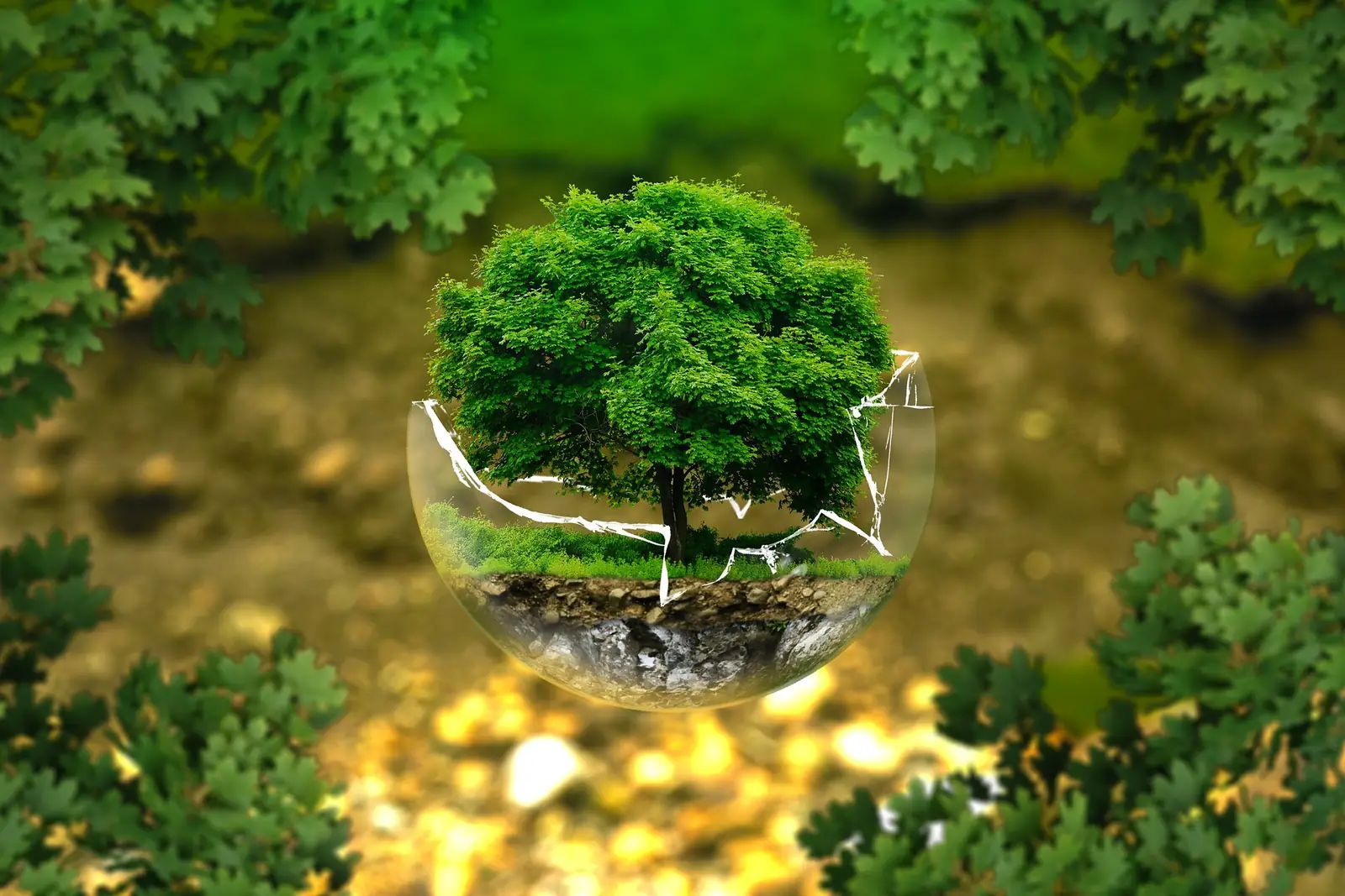 Land & Environment Law — Nairi & Company Advocates